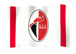 Bandiera animata Bari