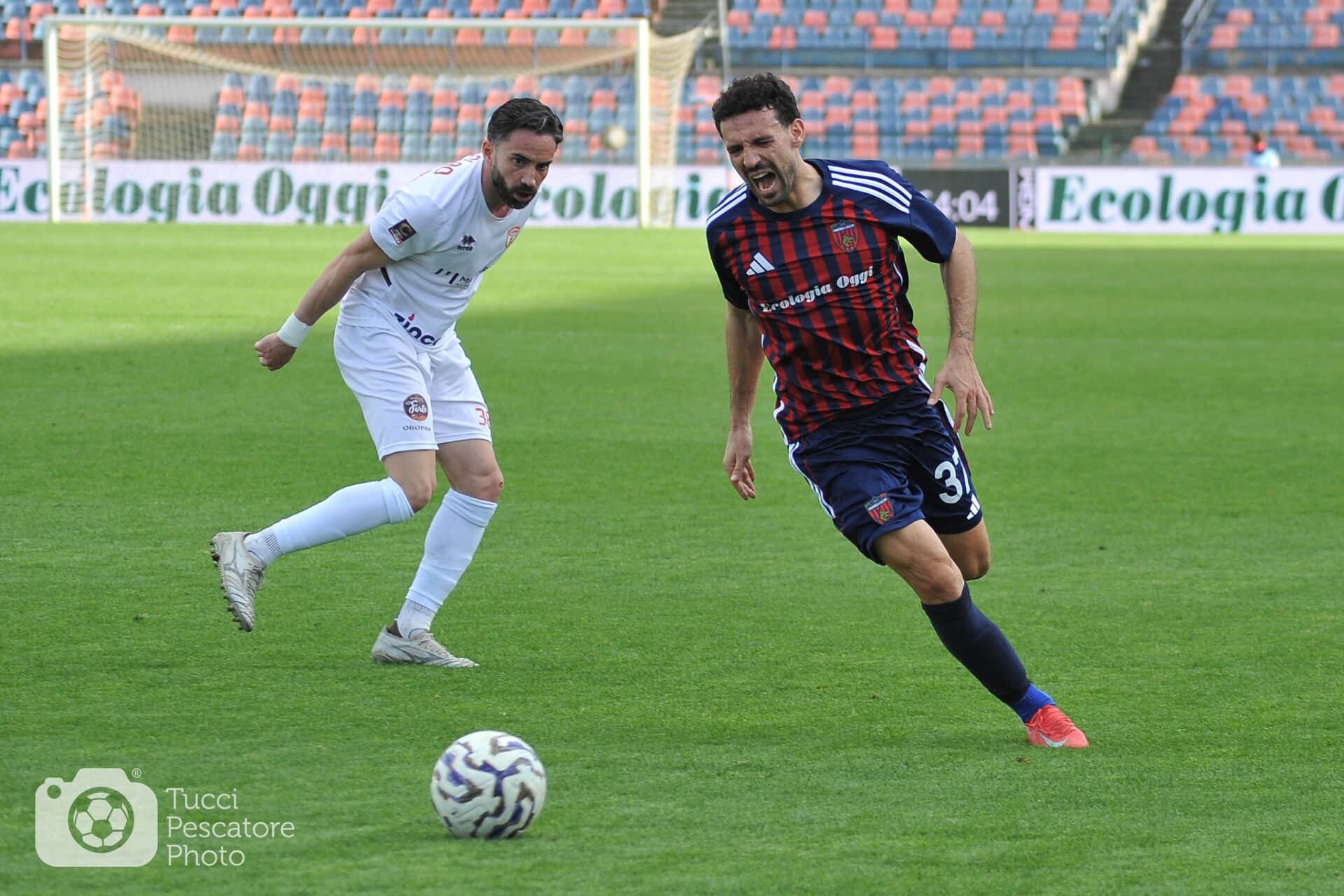 Palmieri vs Altamura